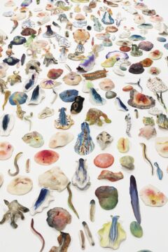 作品 | 鴻池朋子 オフィシャルサイト | Tomoko Konoike Official