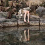 インタートラベラー