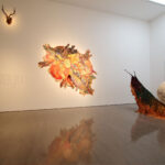 Where the Wild Things Are